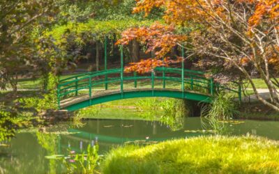Visiter Giverny : conseils, saisons, durée, activités et tarifs